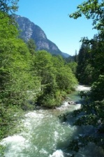 Sauk River tributary