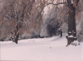 Seattle snow, 1996