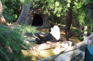 Bai Yun lunching