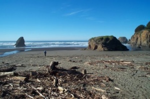 Hwy 1 coast scene 1